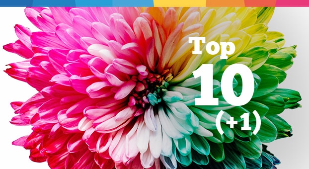 La Top 10 (+1) delle guide e degli articoli pubblicati sul Blog Danea